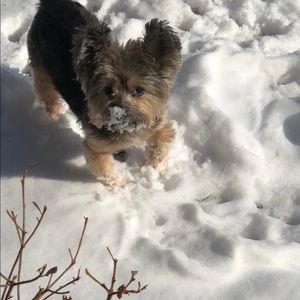 Meet your Posher, Audrey